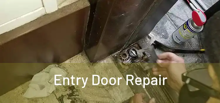 Entry Door Repair